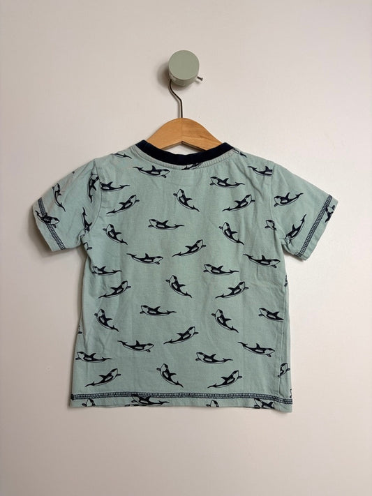 T-SHIRT WALE • 80 • ALANA