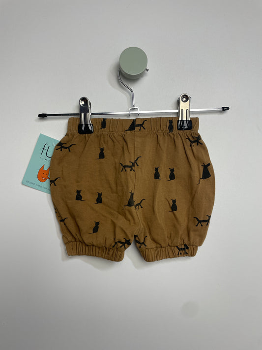 Jerseyshorts Katzen • 62 • turtledove london