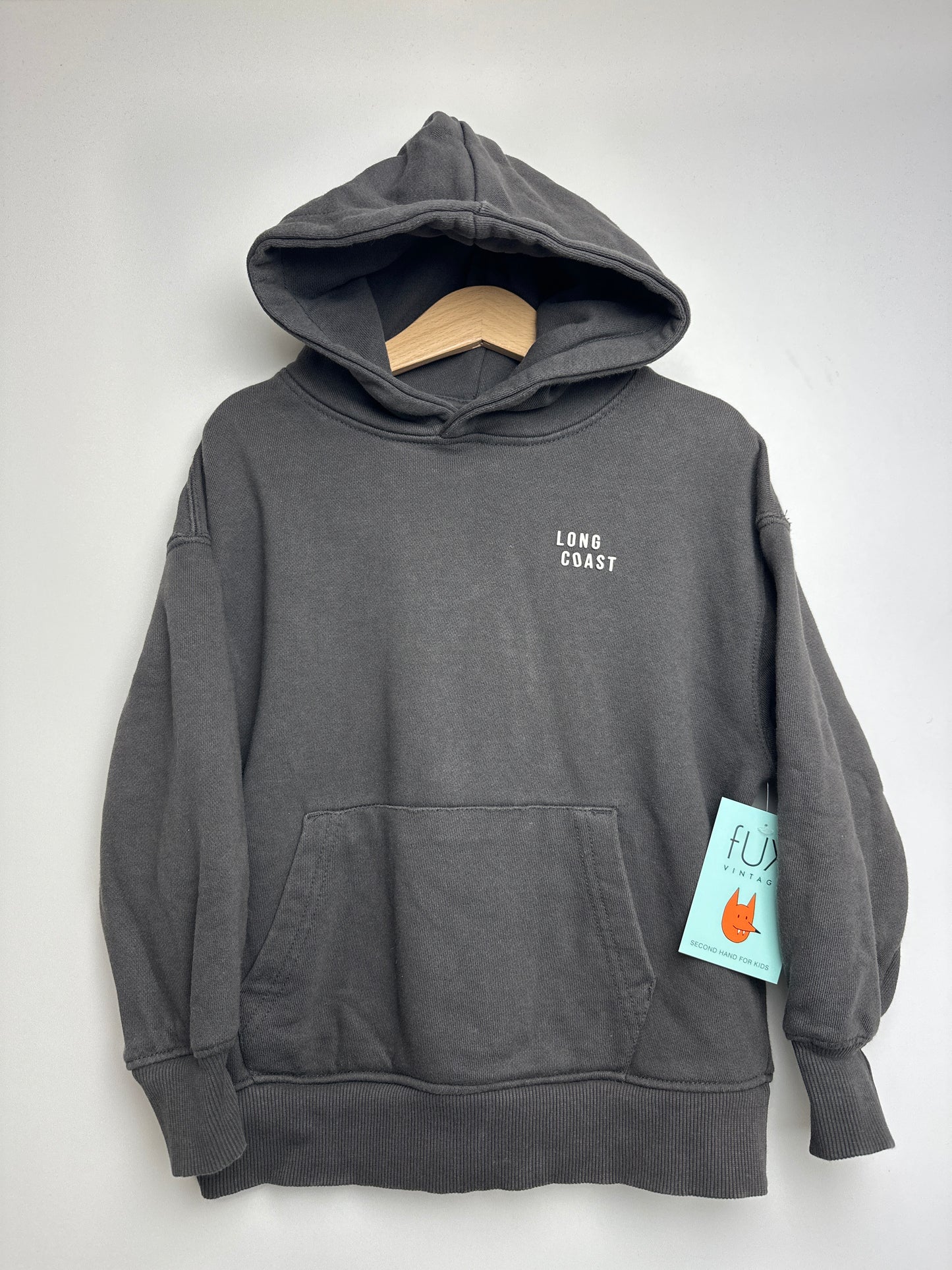 Hoodie • 98 • zara