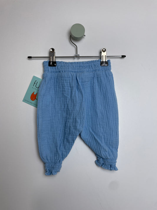 Musselinhose • 56 • topolino