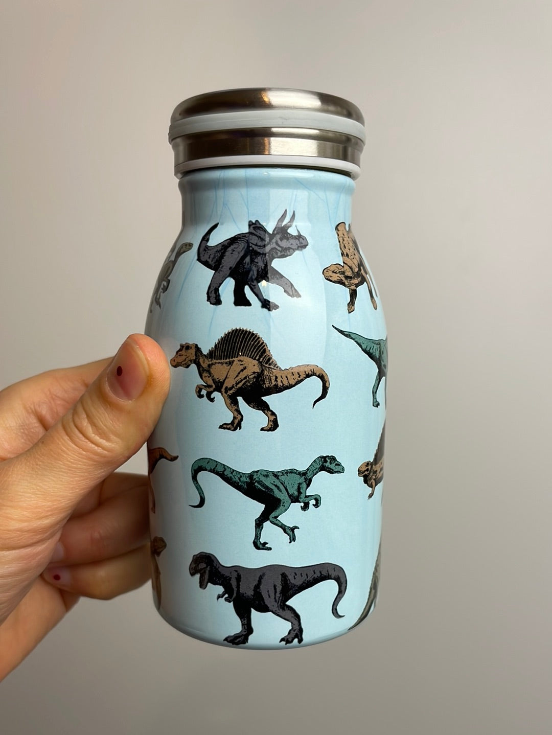 Trinkflasche Edelstahl • 250ml • Prehistoric Land