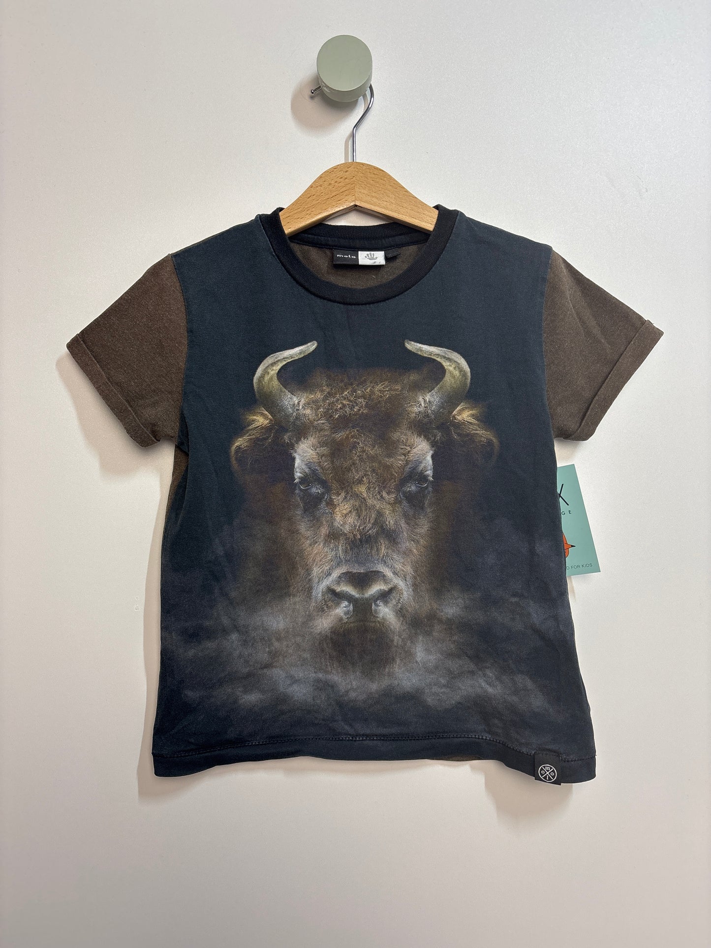 T-Shirt Büffel • 104 • molo