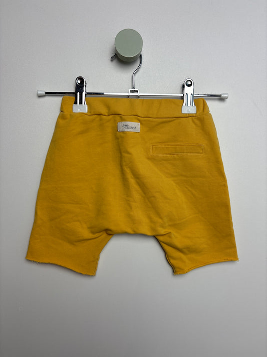 Sweatshorts • 86 • little hedonist