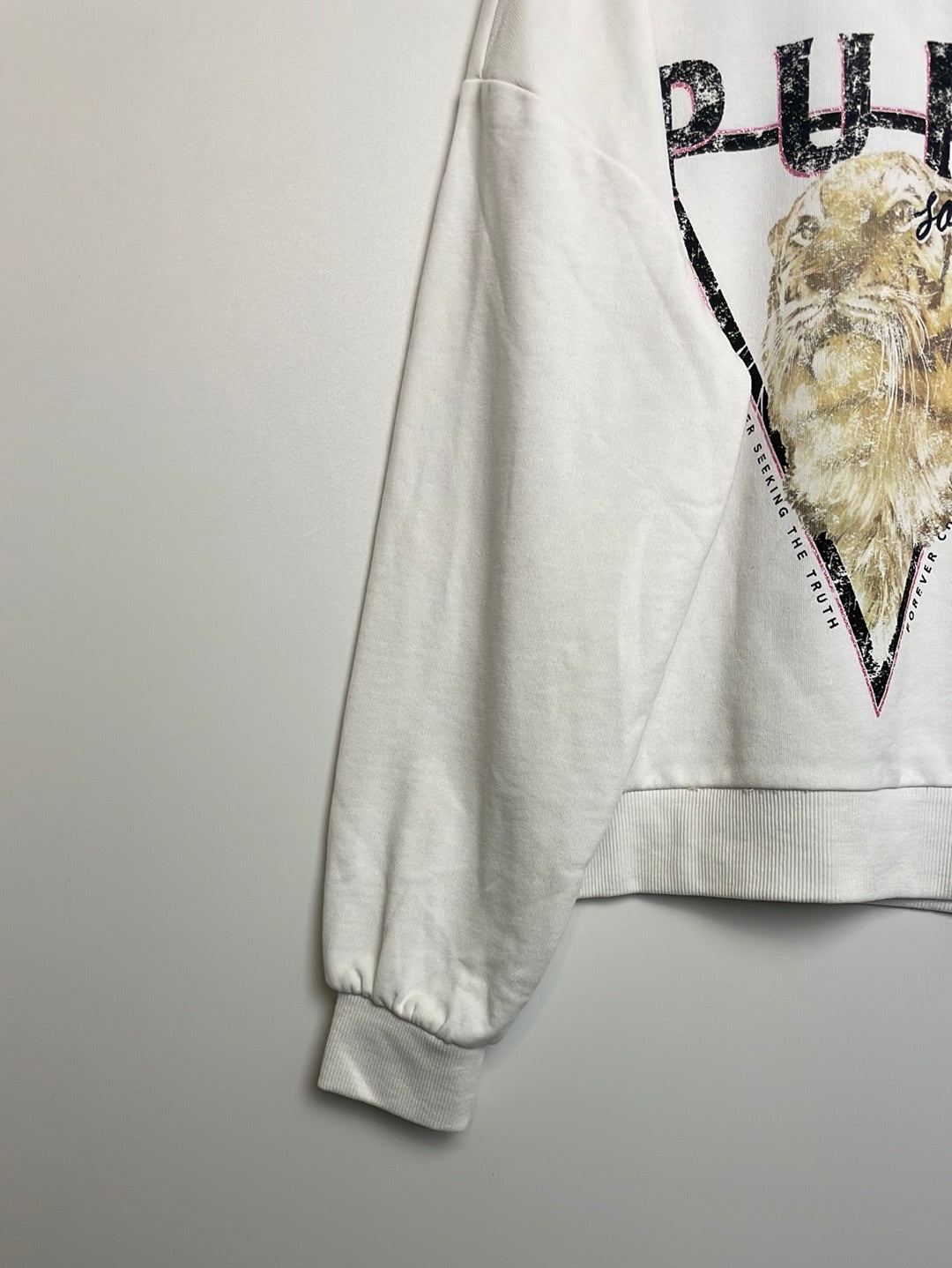 Sweatshirt Tiger - 146 - only