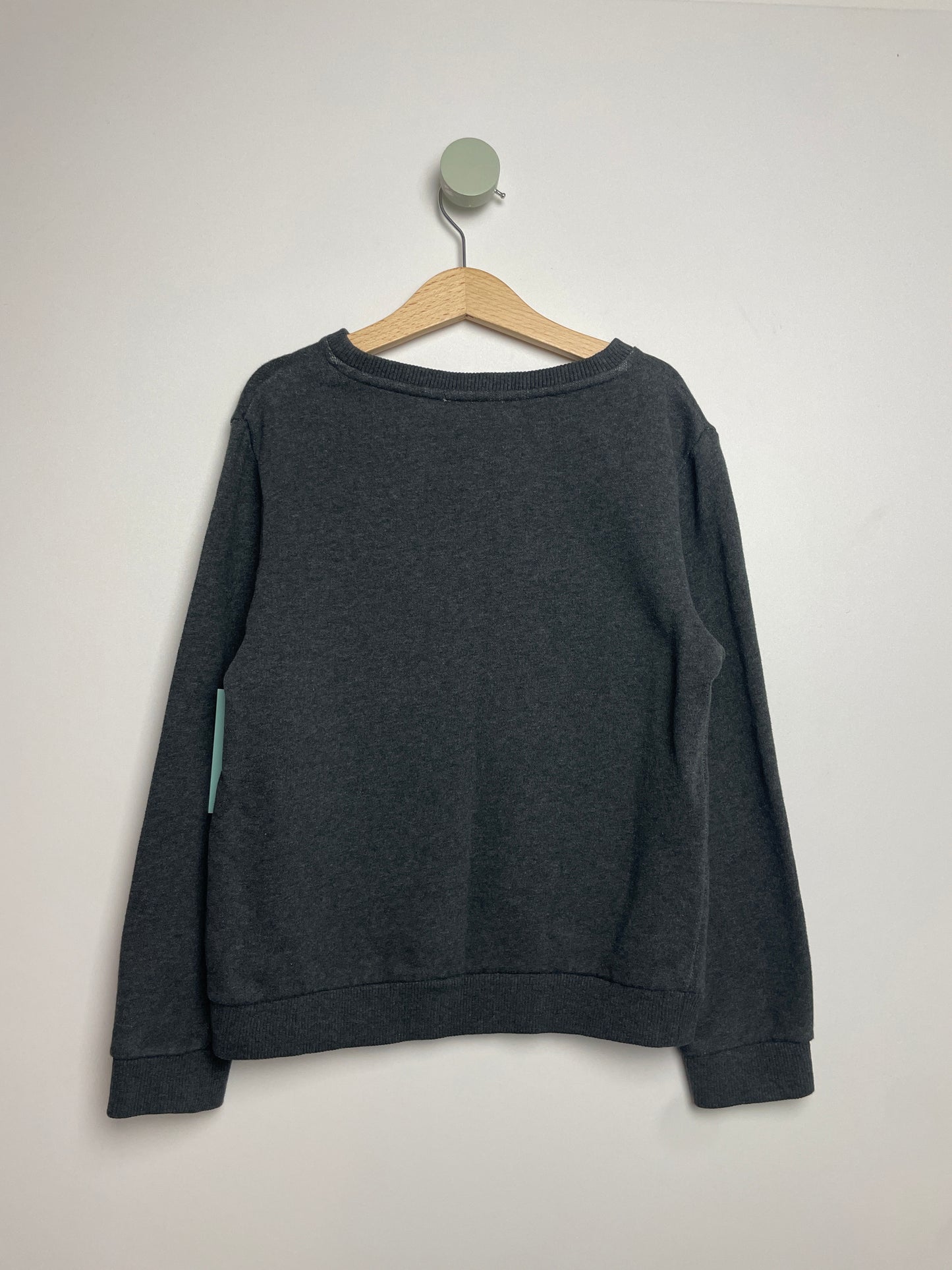 Sweatshirt Kittens • 122 • hundred pieces