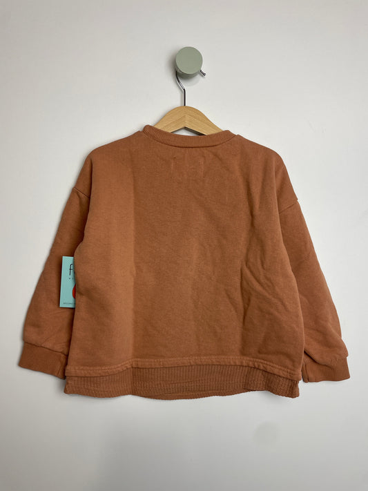 Sweatshirt • 98 • zara