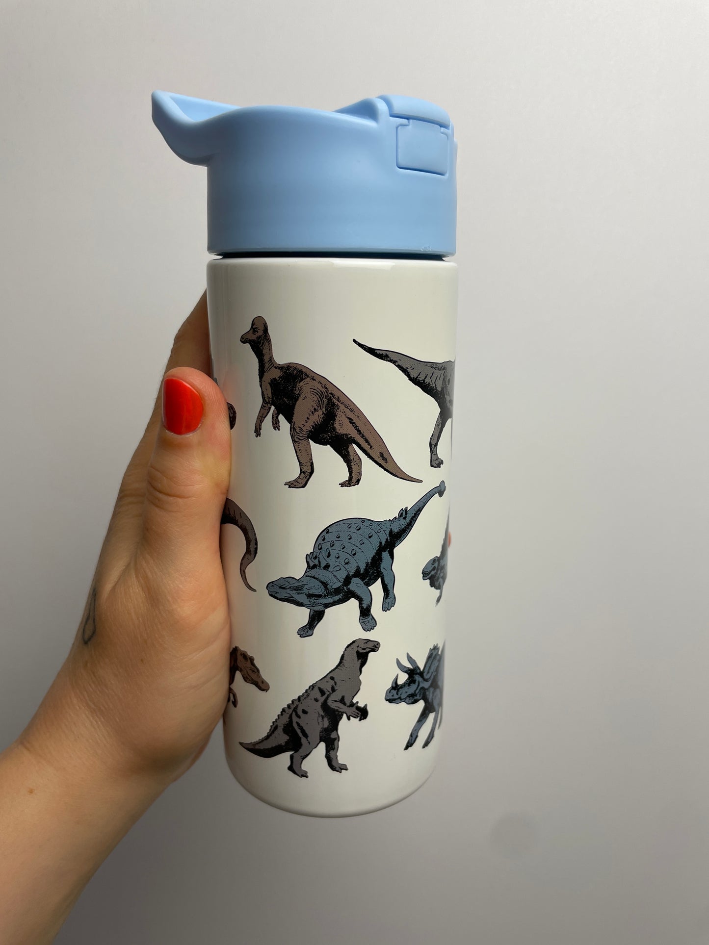 Edelstahl Trinkflasche • 500 ml • Dinosaur