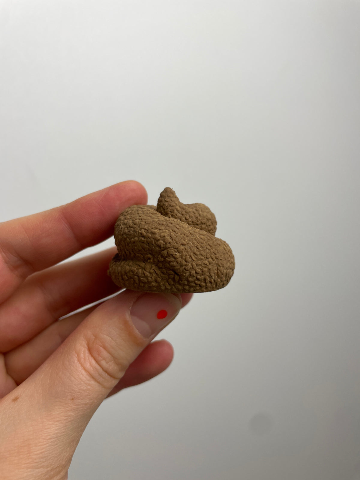 KACKHAUFEN RADIERGUMMI • SWIRLY POO ERASER
