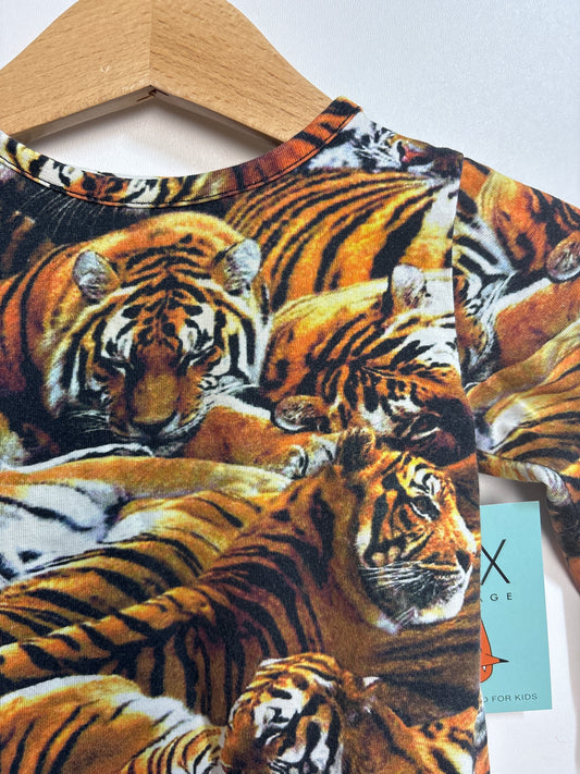 Langarmshirt Tiger • 68 • molo