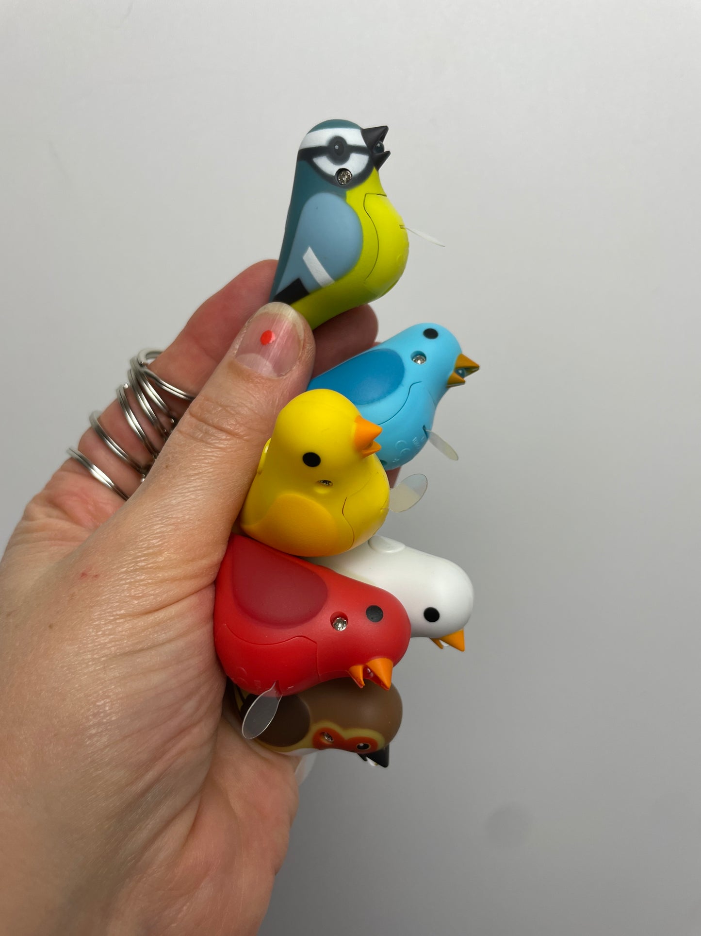 Leuchtende Zwitschervögel