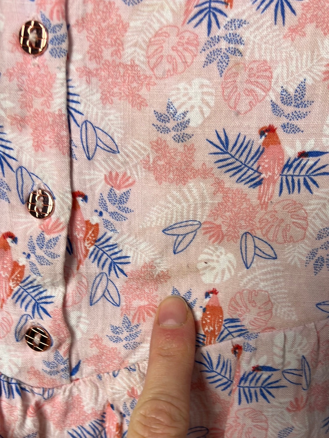 Bluse Papagei - 122 - carrément beau