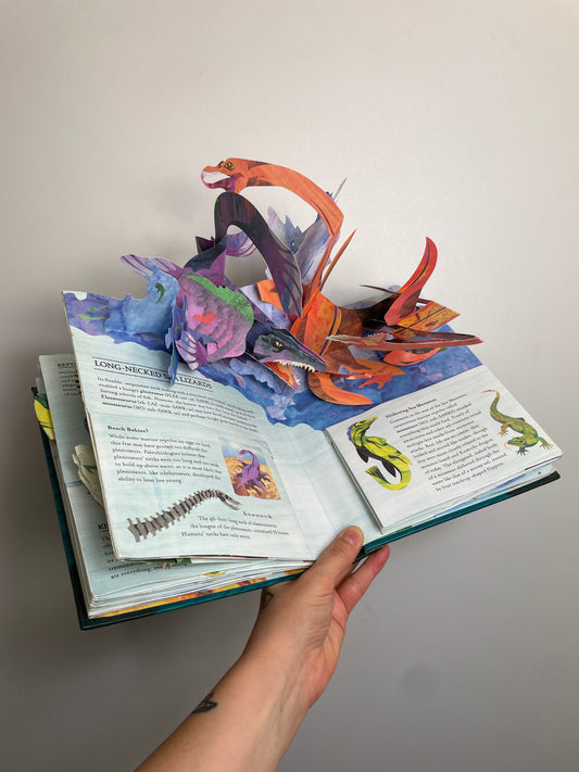 PopUp Buch • Sharks and other Sea Monsters  • candlewick press