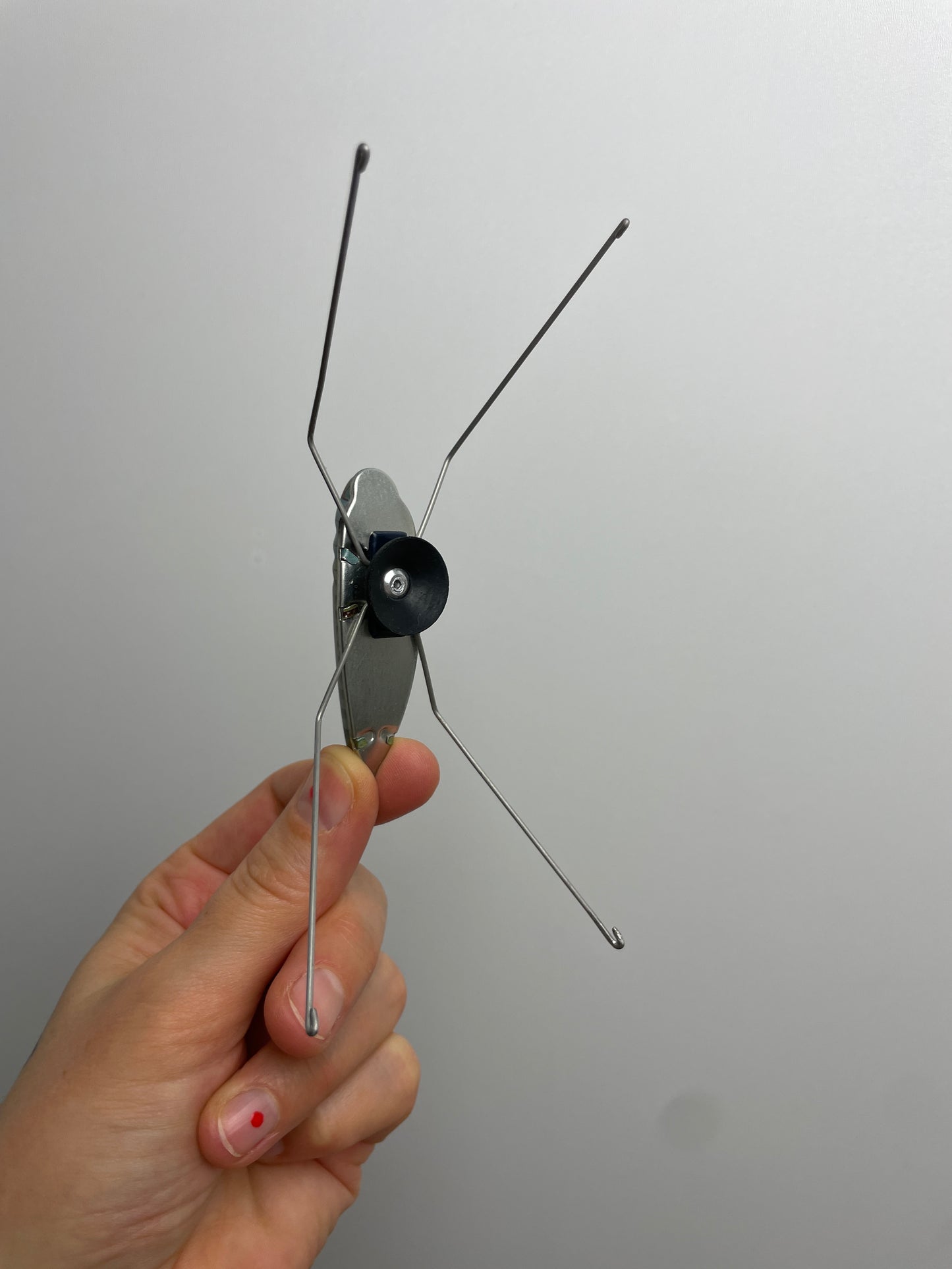 Grashüpfer