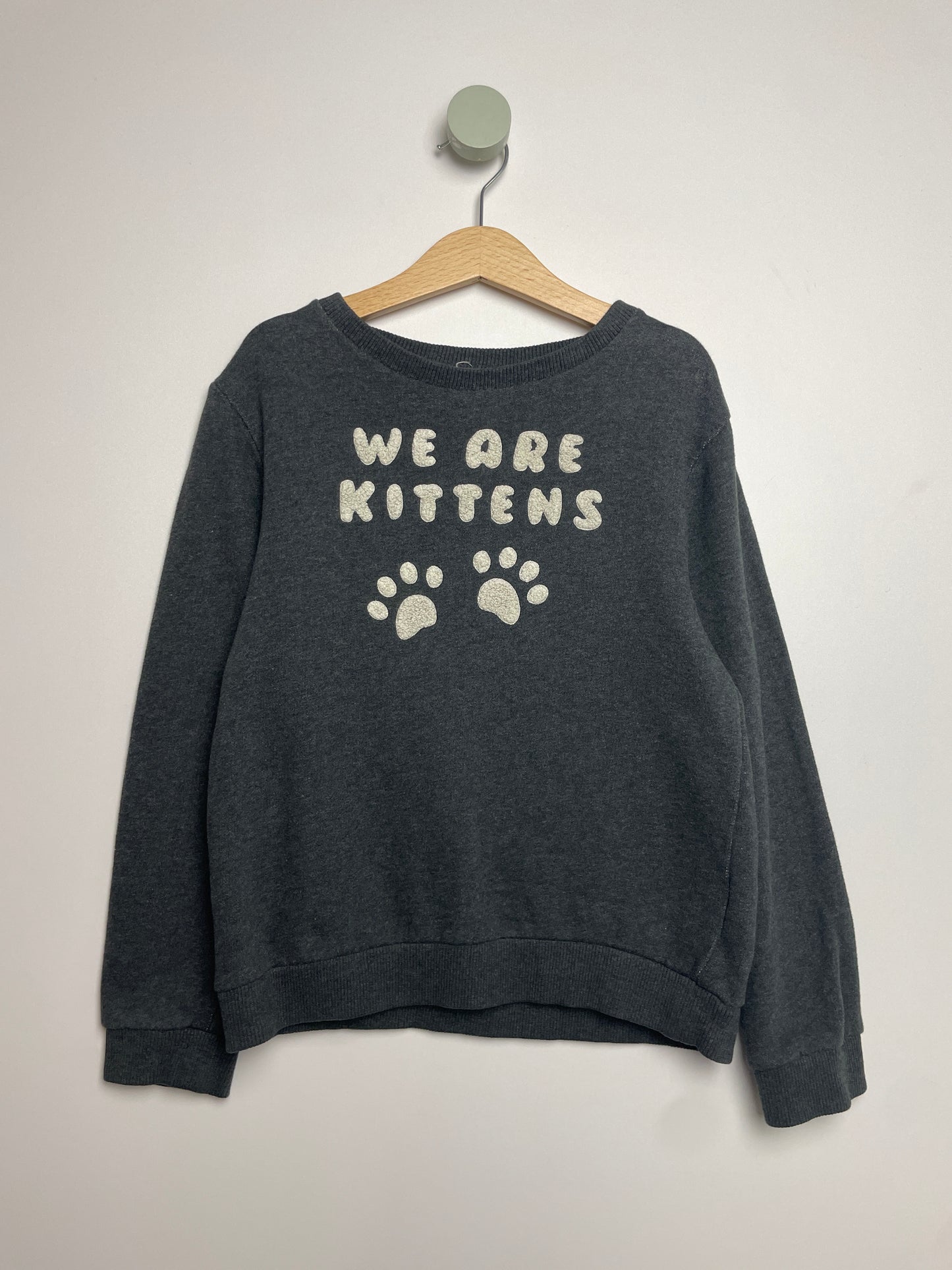 Sweatshirt Kittens • 122 • hundred pieces