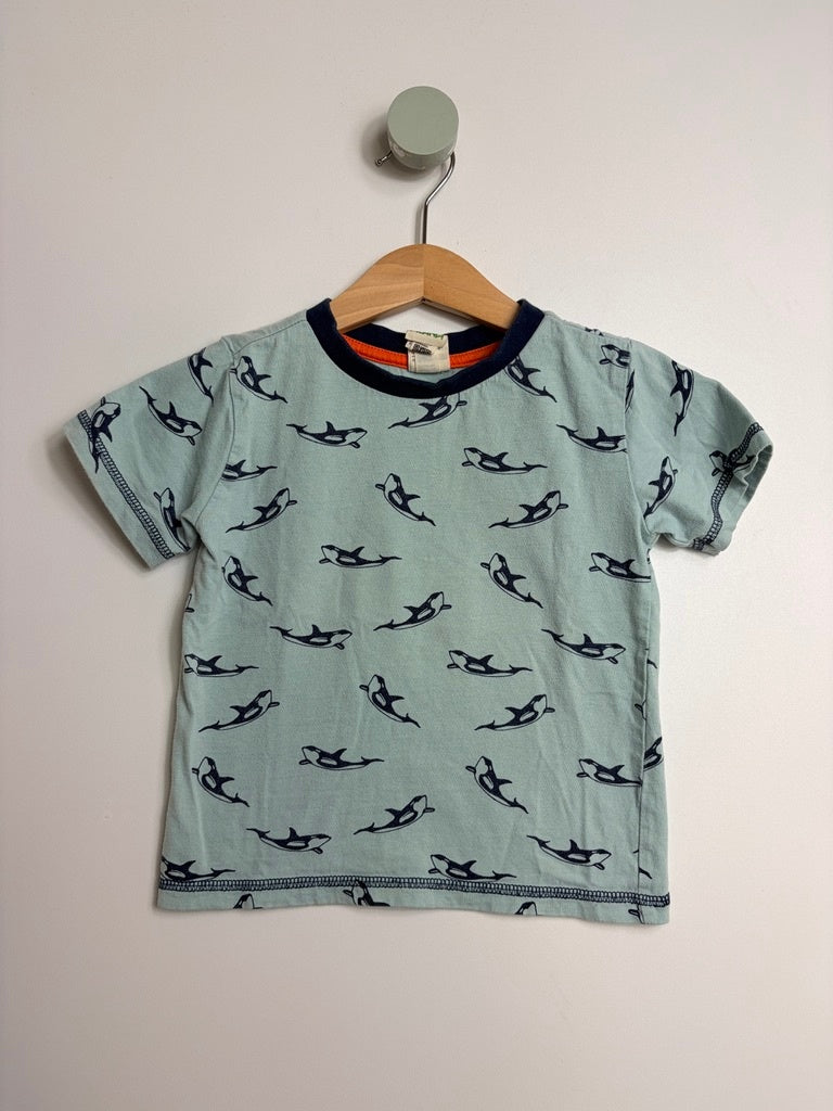 T-SHIRT WALE • 80 • ALANA
