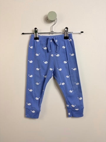 JERSEYHOSE WALE • 74 • GAP