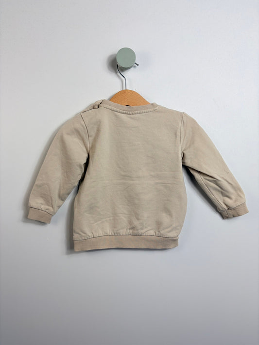 SWEATSHIRT DINO • 74 • NAME IT