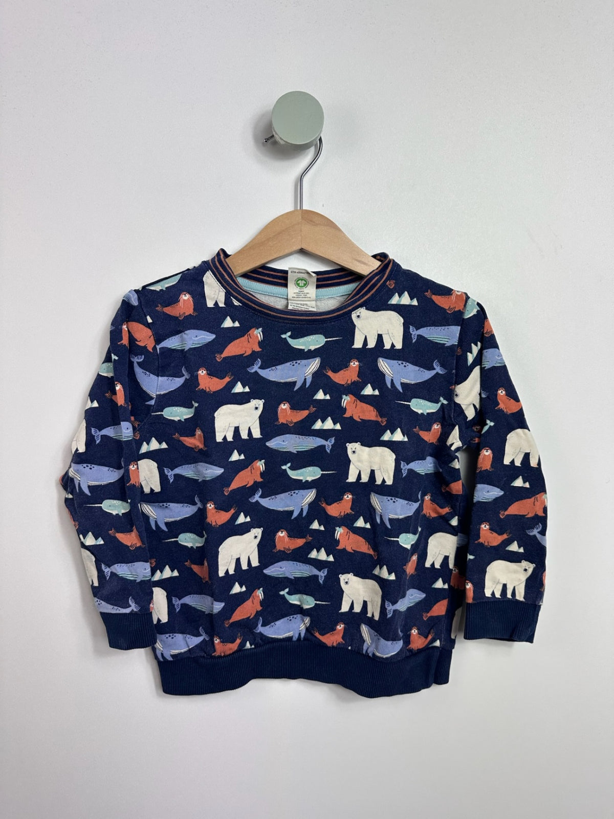 SWEATSHIRT NORDPOL • 86 • ALANA