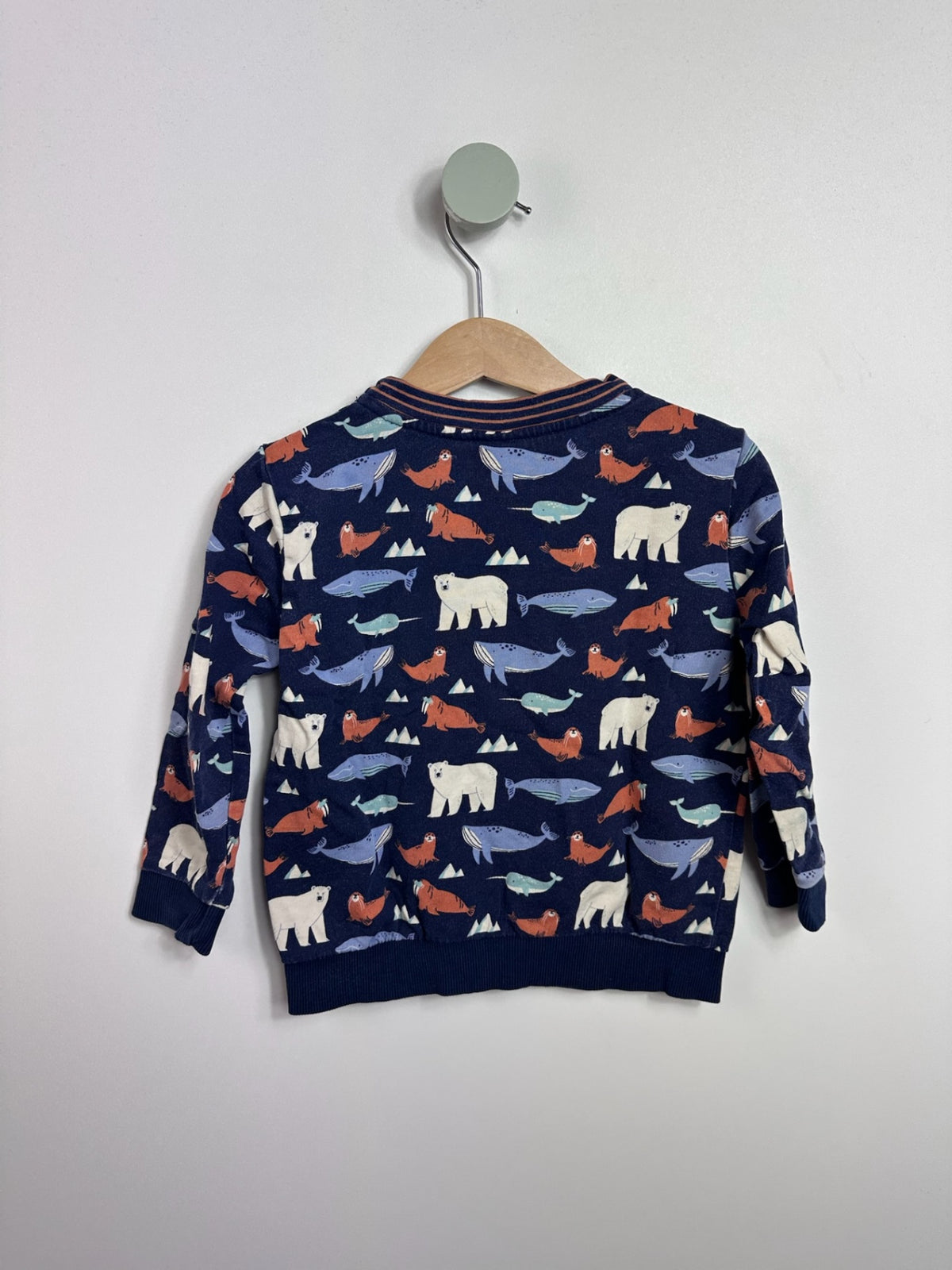 SWEATSHIRT NORDPOL • 86 • ALANA