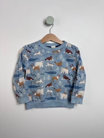 SWEATSHIRT NORDPOL • 86 • ALANA