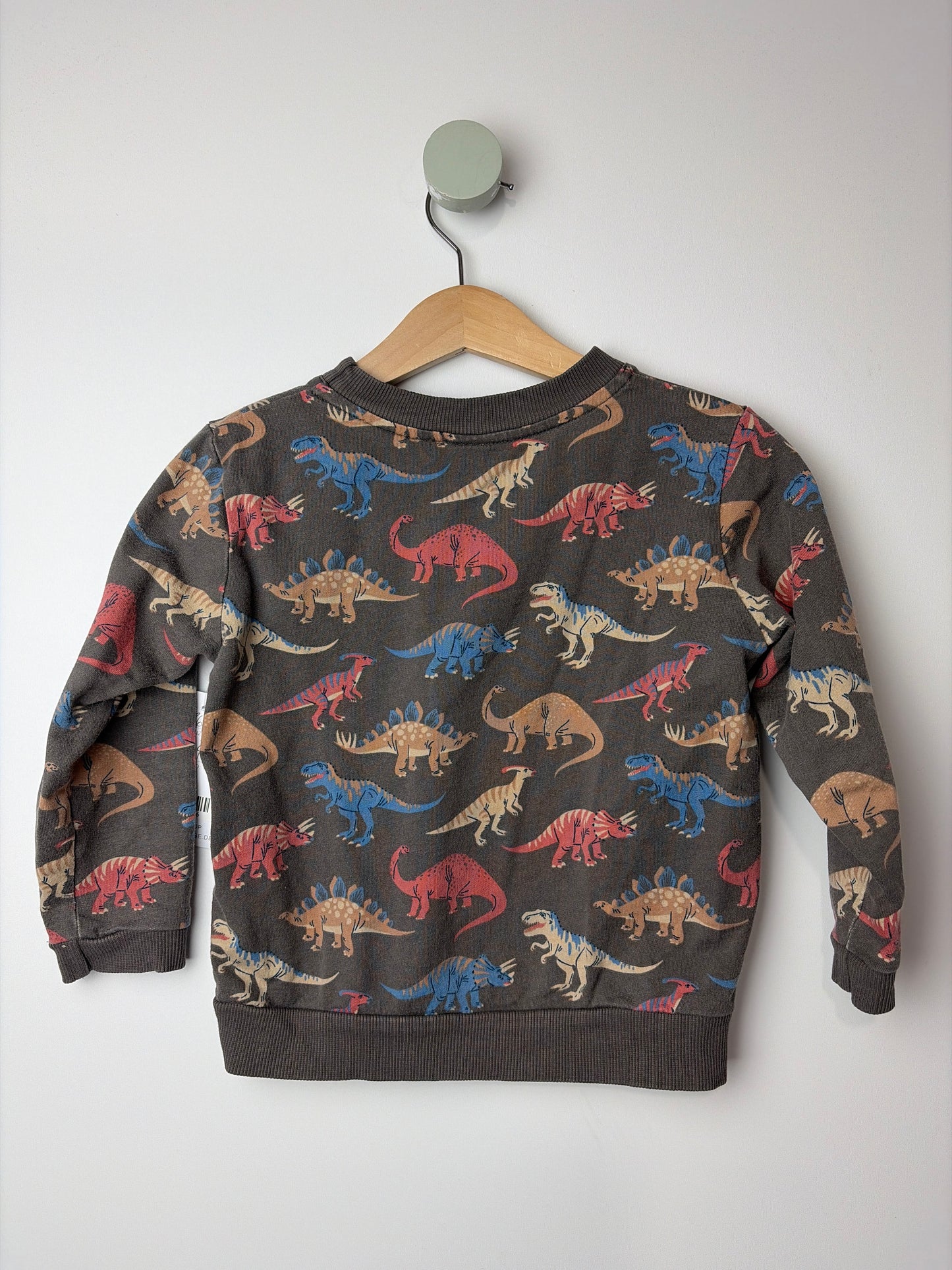 SWEATSHIRT DINOS • 86 • ALANA