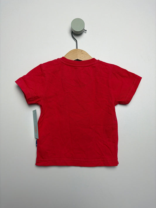 T-SHIRT FROSCH • 74 • KITE