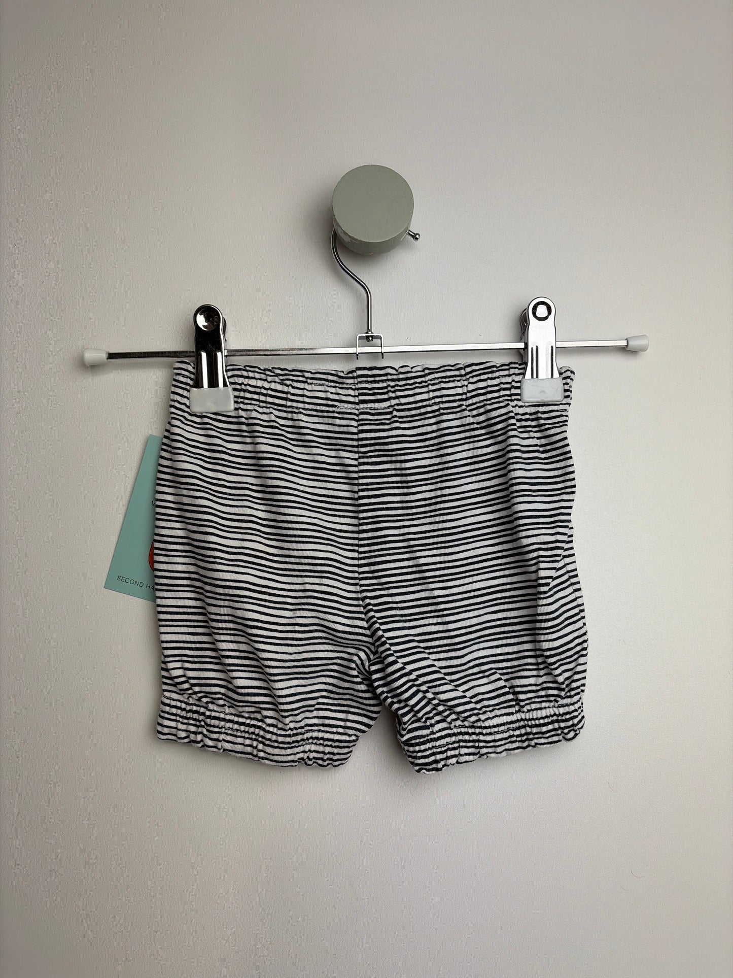 SHORTS • 62 • TOPOLINO