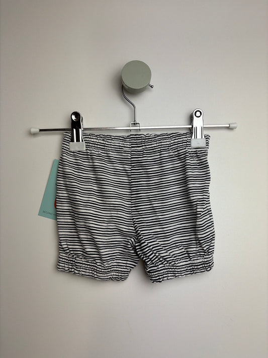 SHORTS • 62 • TOPOLINO