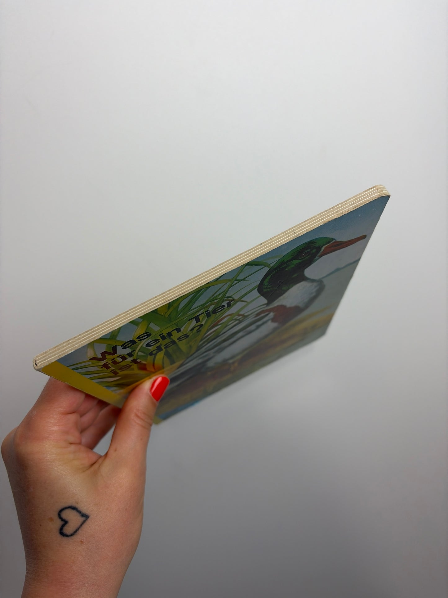 PAPPBUCH • WAS FÜR EIN TIER IST DAS? • TRUE VINTAGE