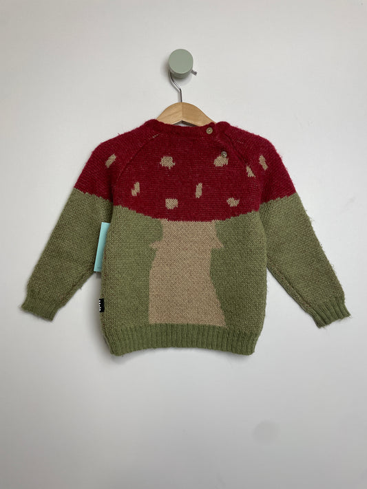 Pullover Pilz •  92 • molo