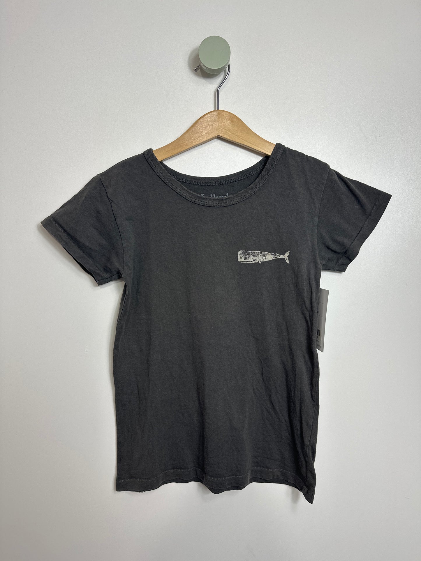 T-SHIRT WAL • 116 • MOLLUSK