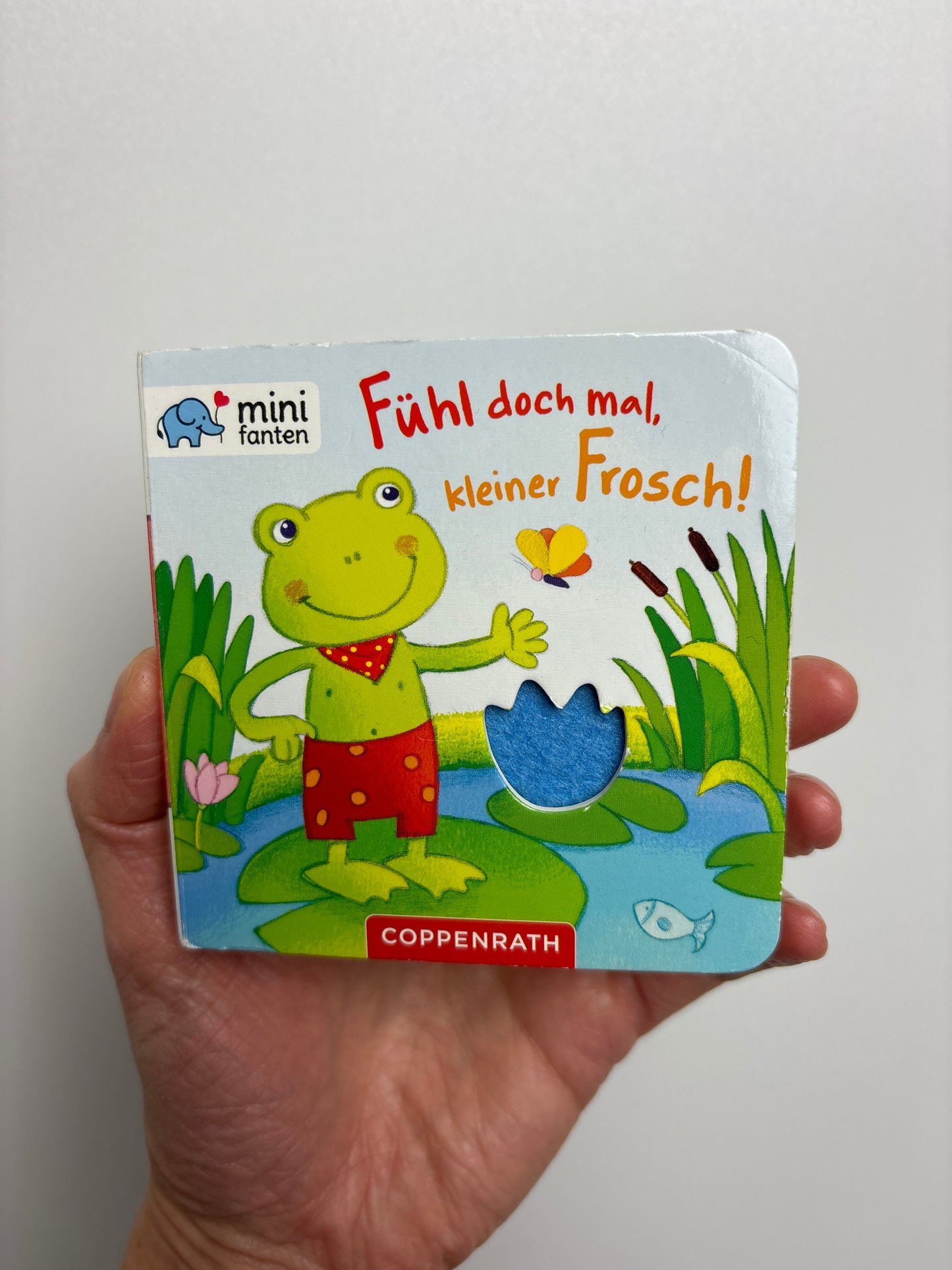 Fühl doch mal, kleiner Frosch!• coppenrath