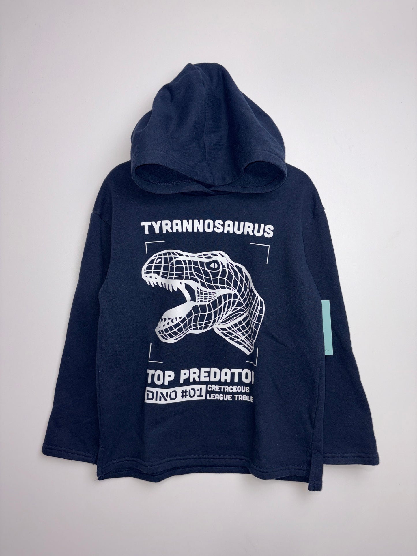 HOODIE DINO • 122 • H&M