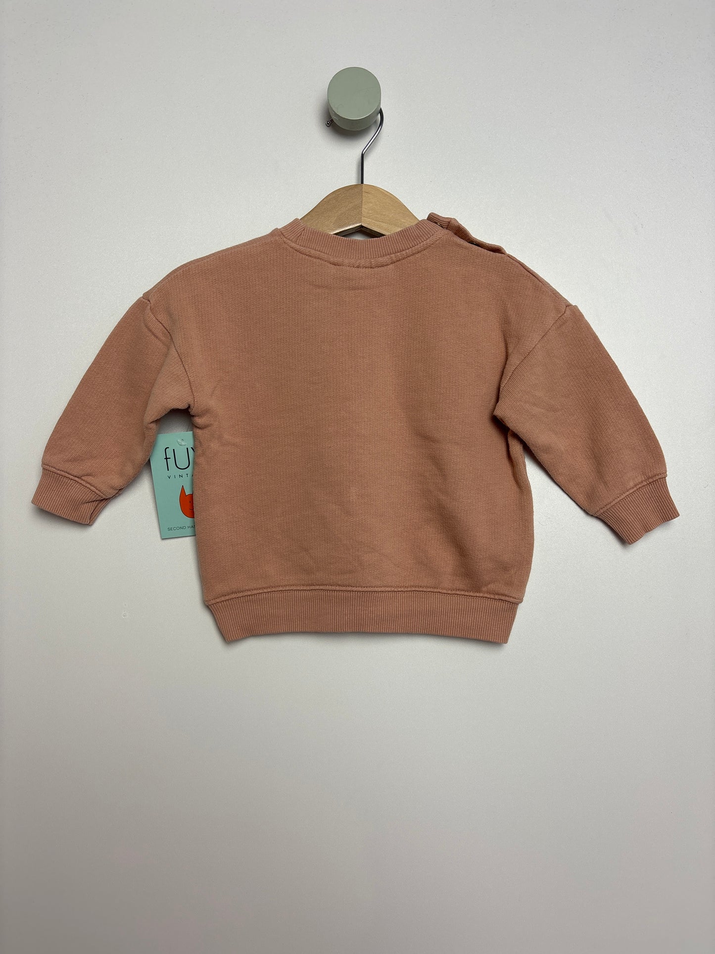 Sweatshirt Echse • 62 • mini rodini