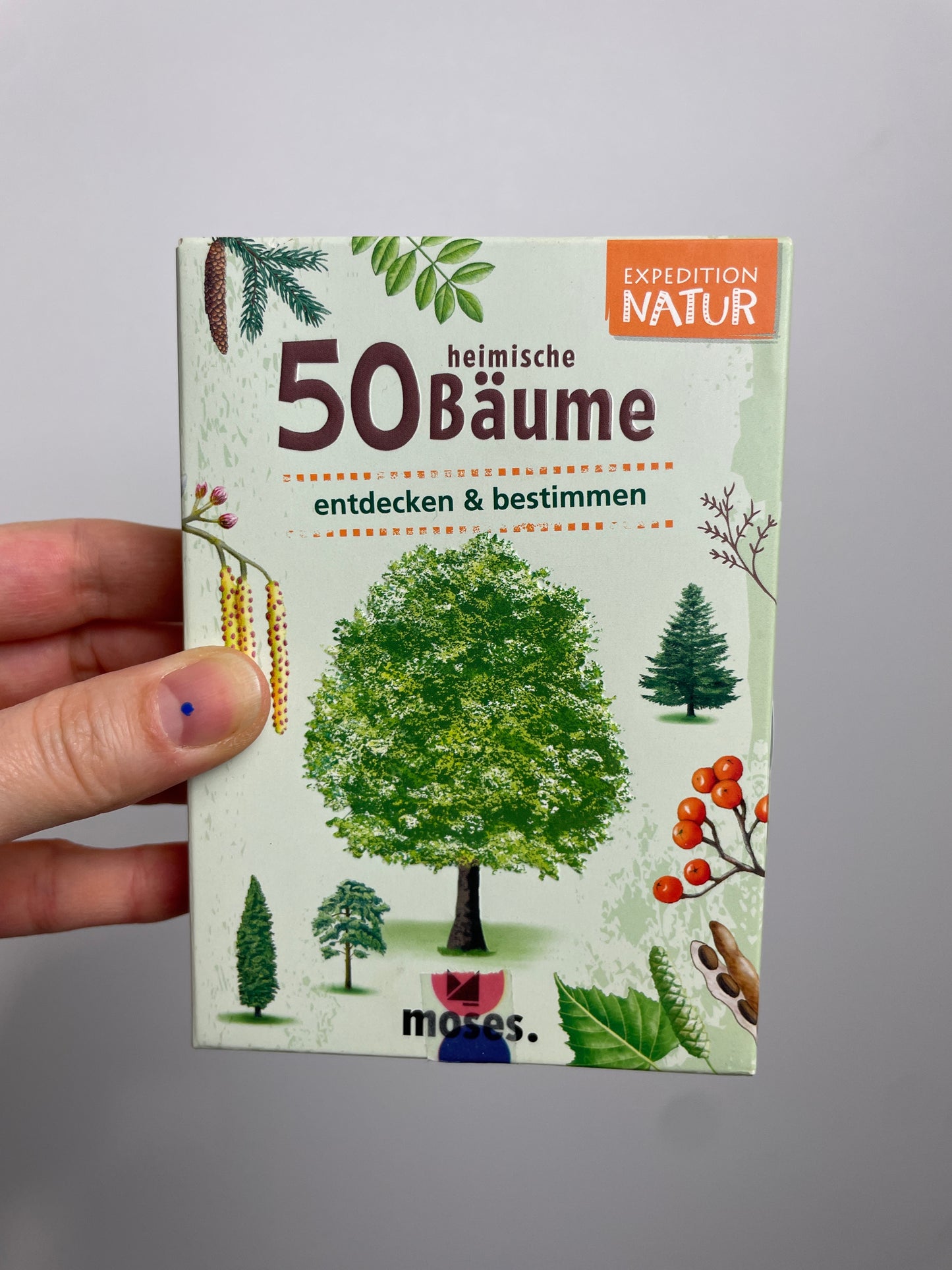 50 heimische Bäume • Karten • moses.