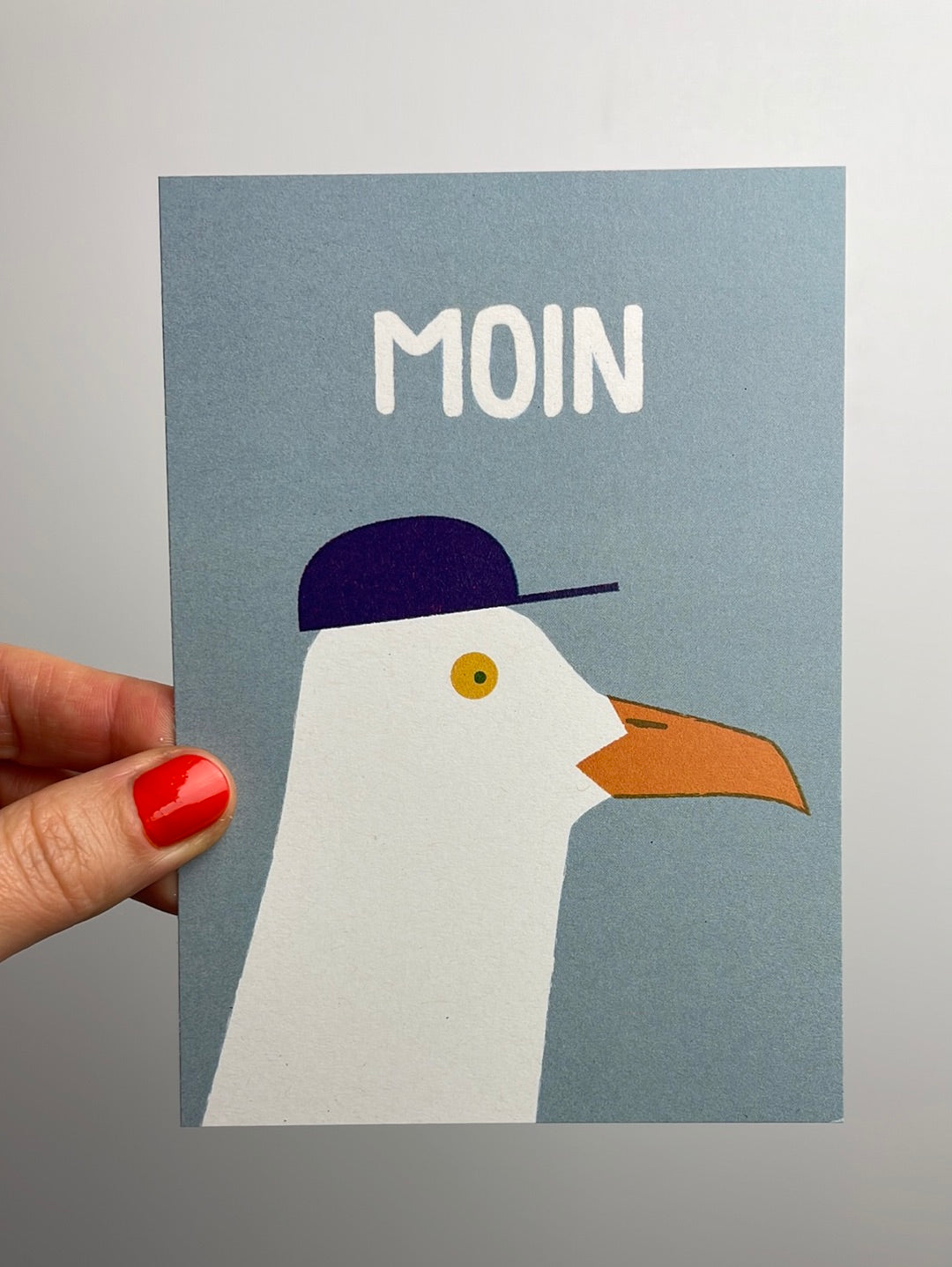moin - Möwe • Postkarte