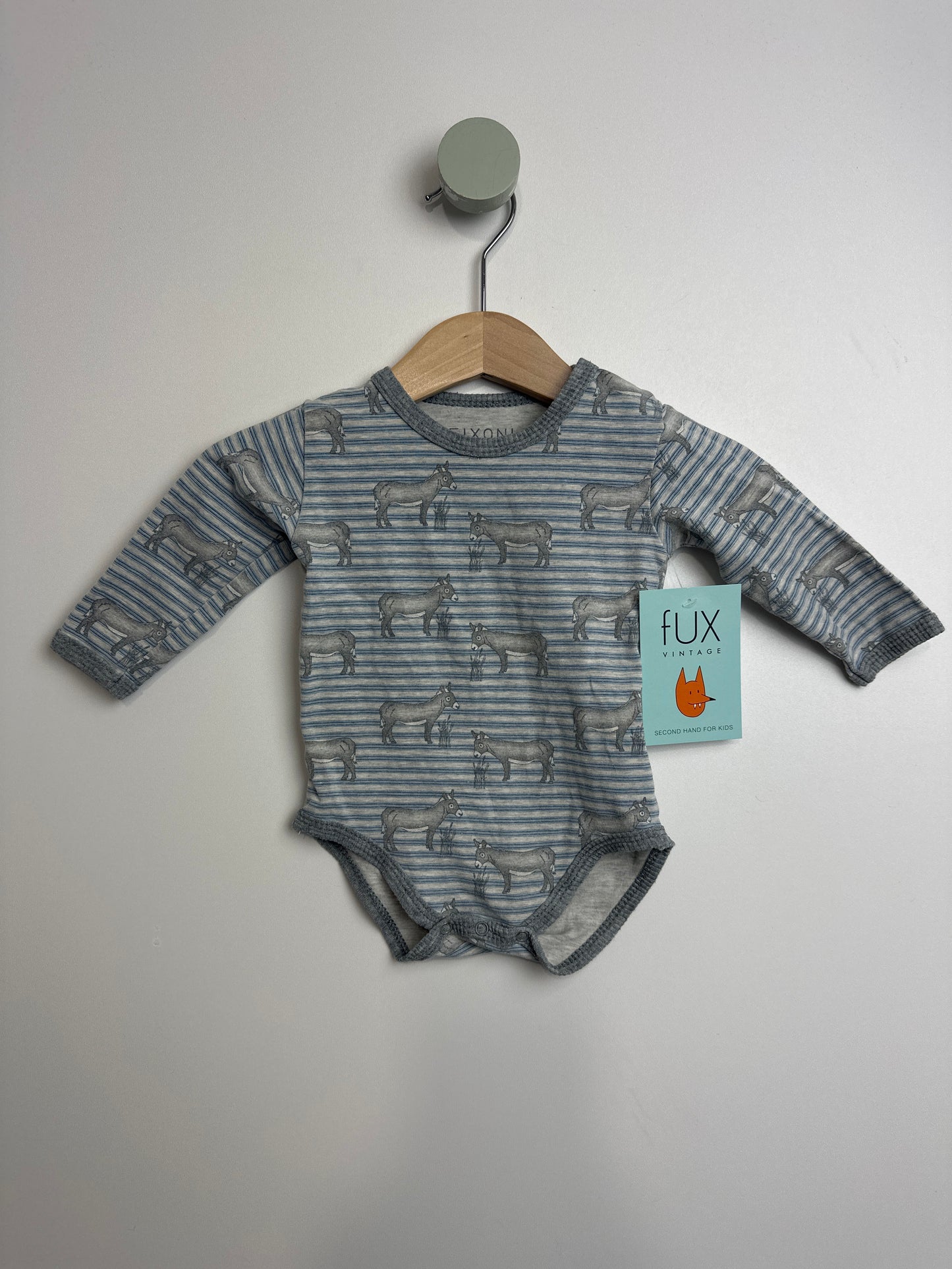 BODY ESEL • 56 • FIXONI