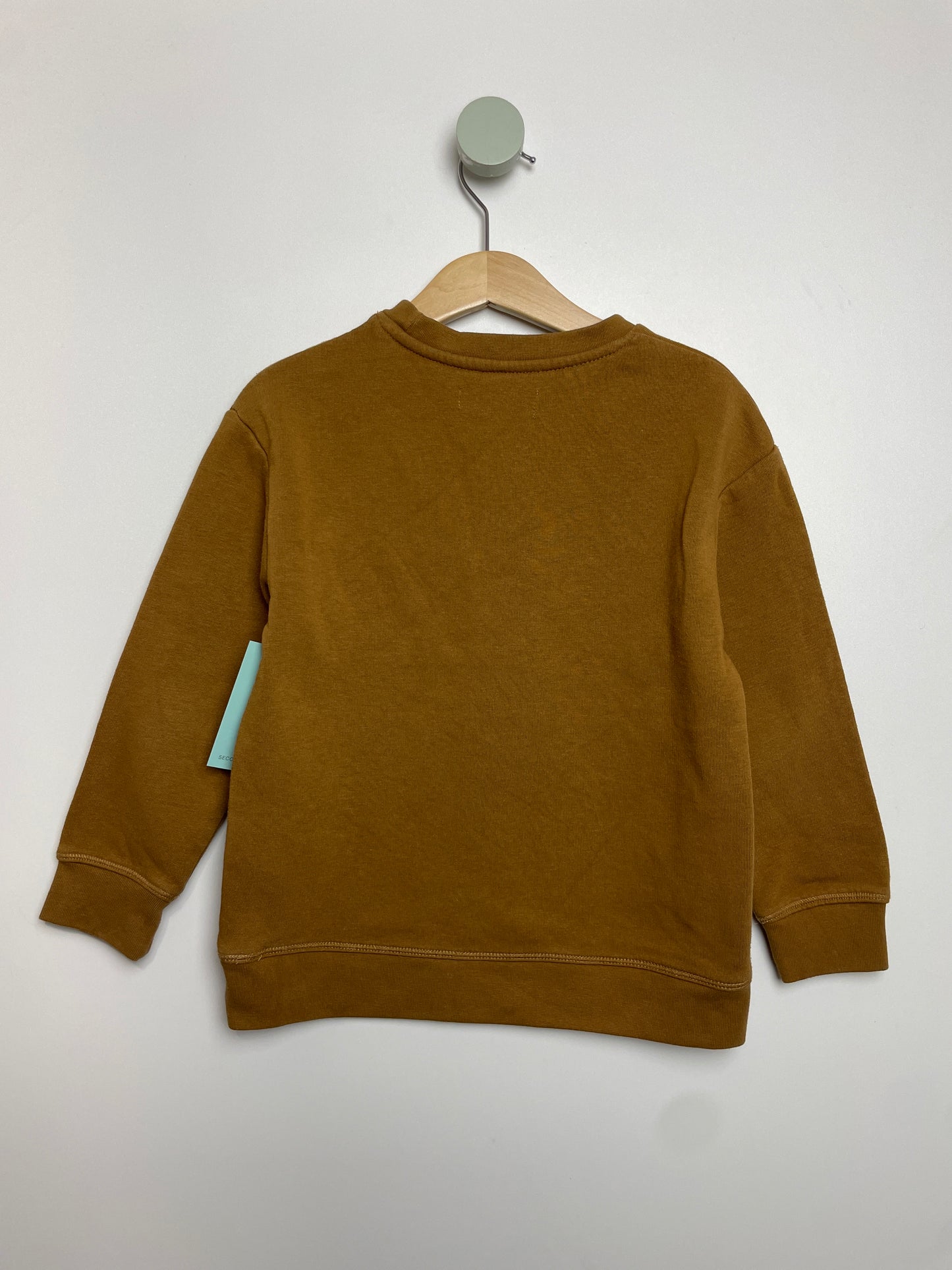 Sweatshirt Dino • 104 • rr