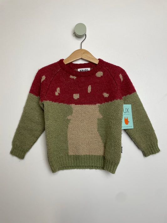 Pullover Pilz •  92 • molo