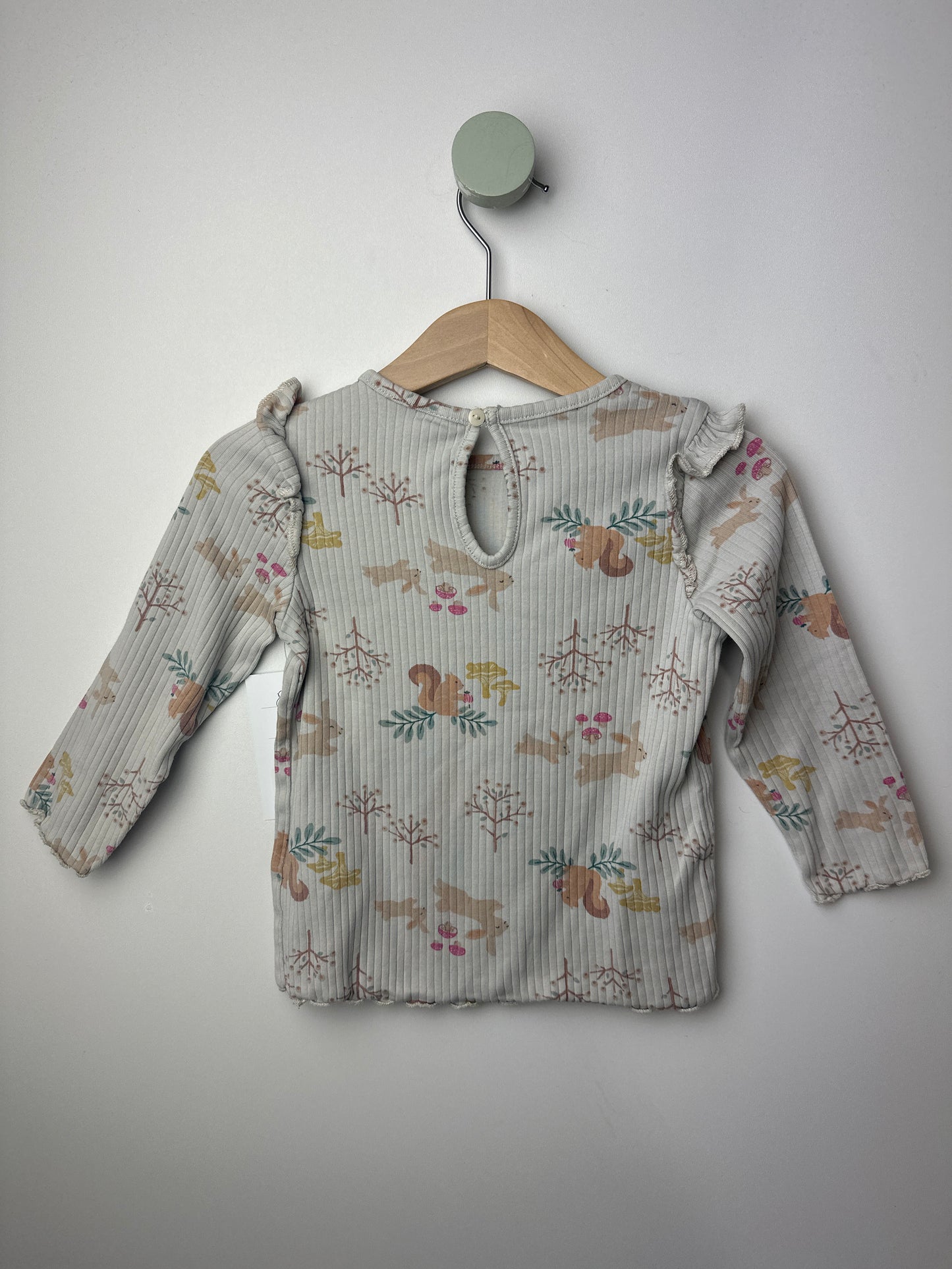 LANGARMSHIRT • 80 • H&M